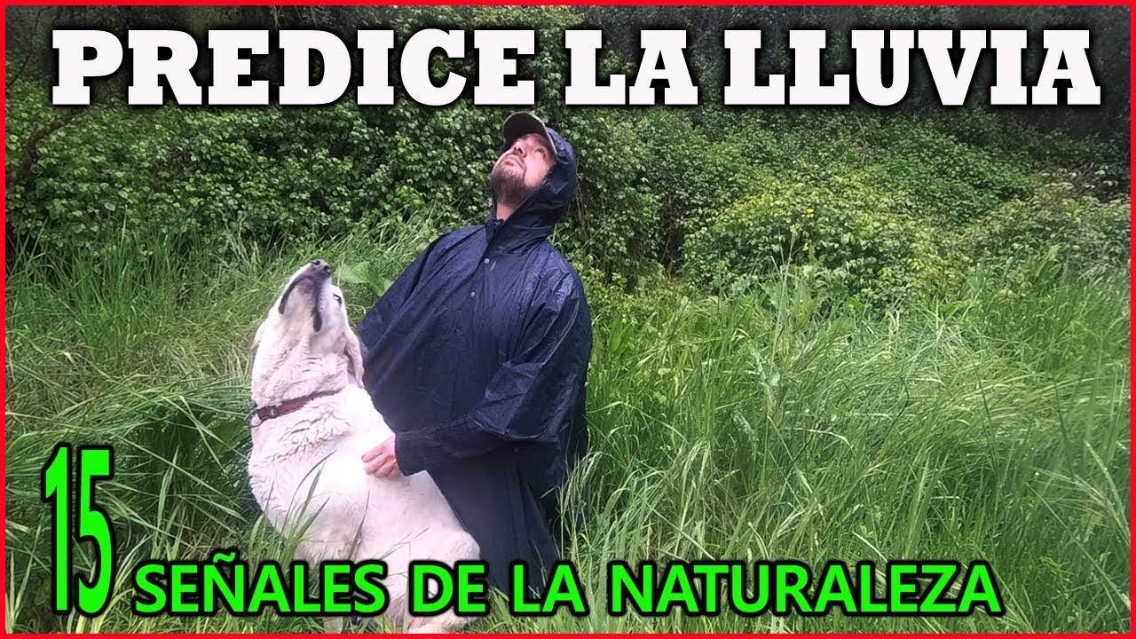 como se si va a llover