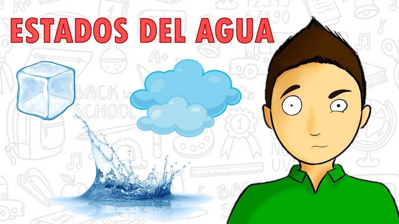 cuadro sinoptico de los estados del agua