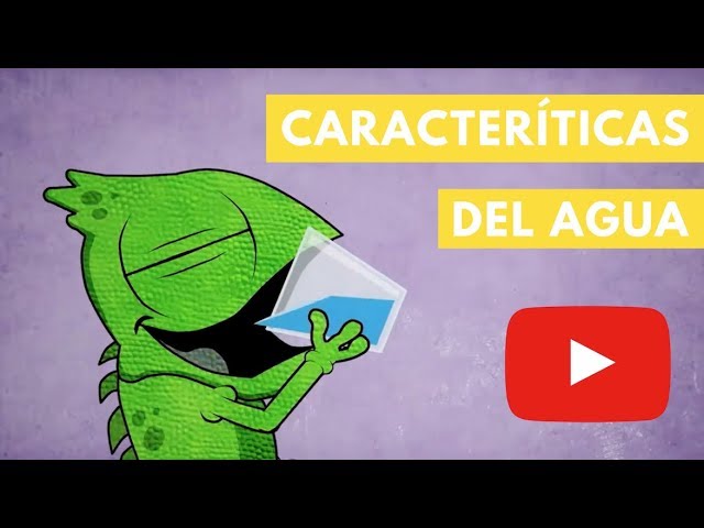 cuáles son sus diferencias del agua