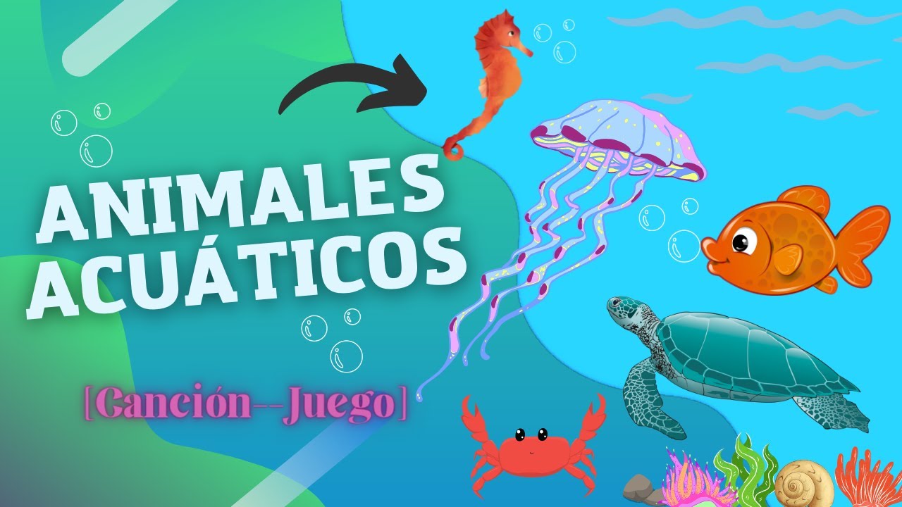 de que se alimentan los animales marinos