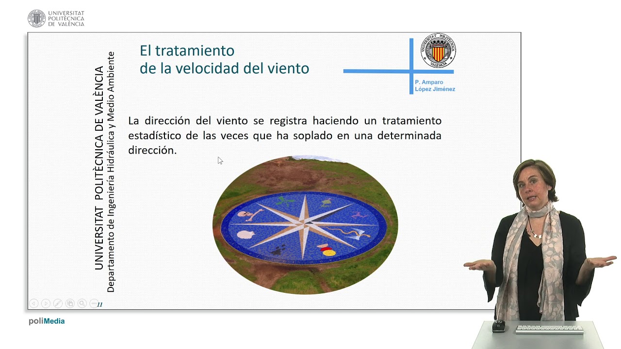 definicion de rosa de los vientos