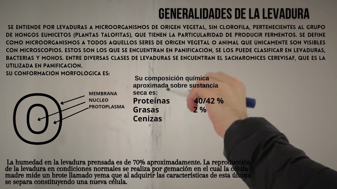 fórmula química de la levadura