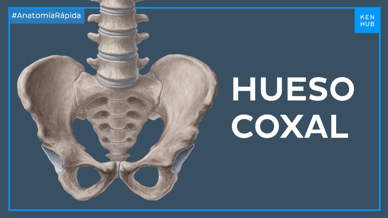 huesos de la cadera marcados