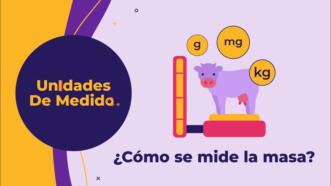 la masa de un cuerpo se mide con un termómetro