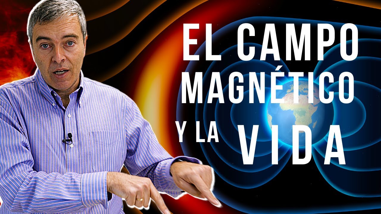 magnetismo en la vida cotidiana