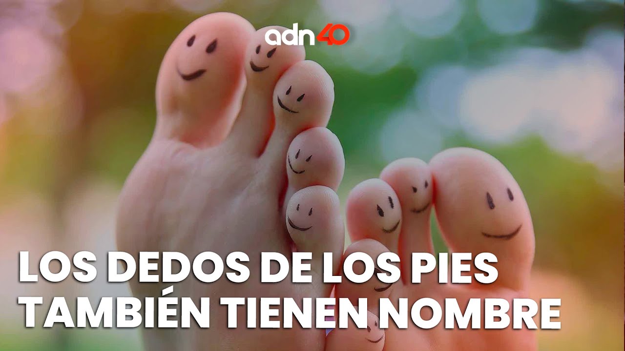 nombres de los dedos del pie