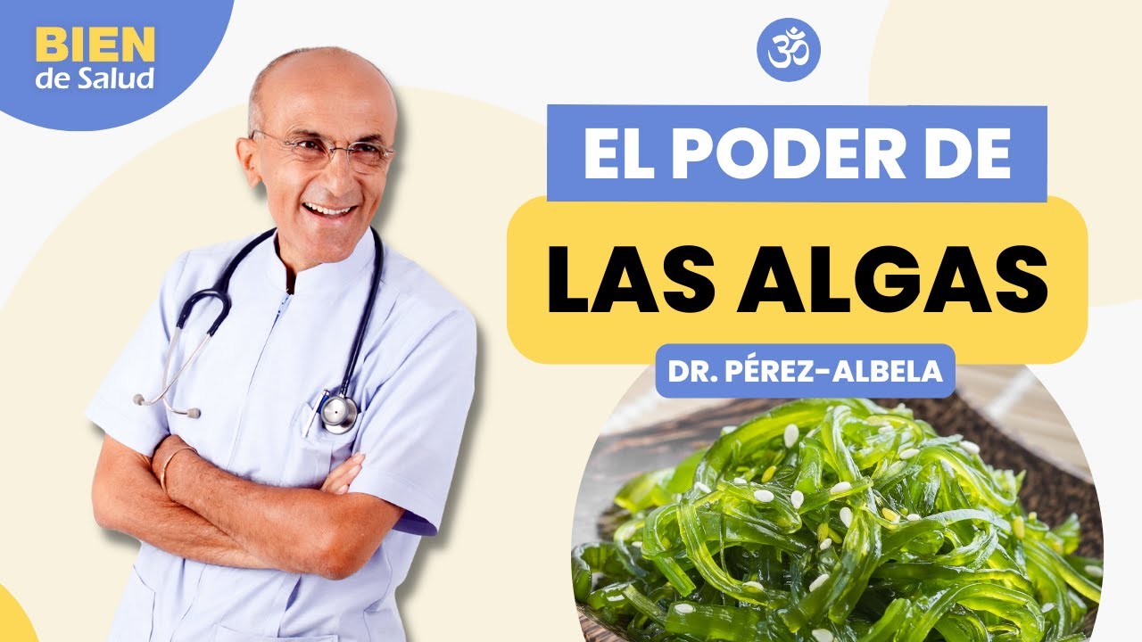 para que sirven las algas marinas