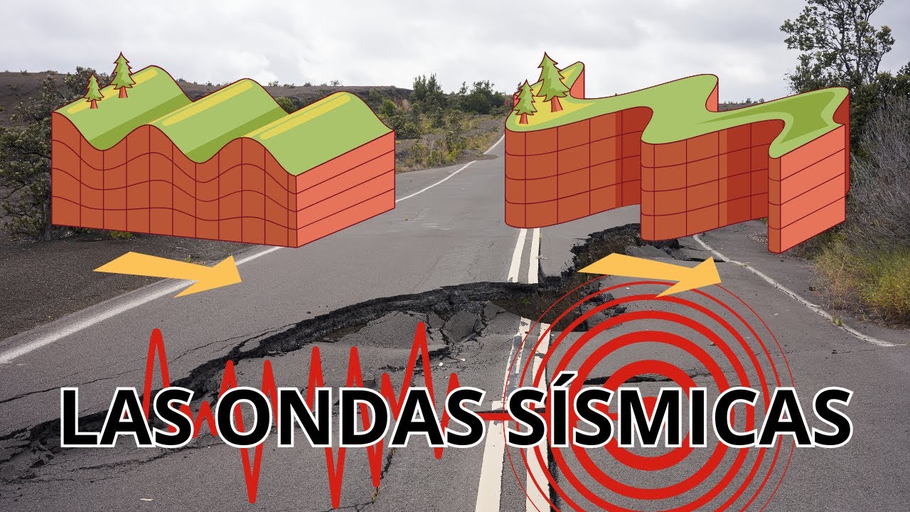 que tipo de ondas se registran en un sismografo