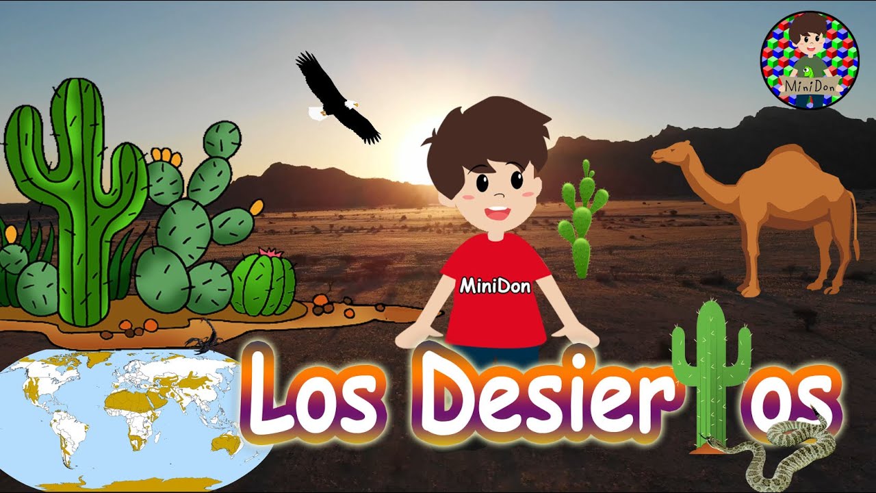 relaciones entre componentes naturales del desierto