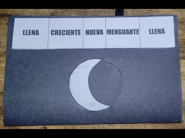 actividades fases de la luna