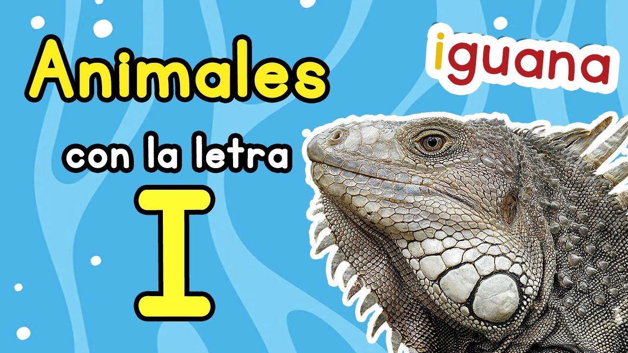 animal que empiece por i