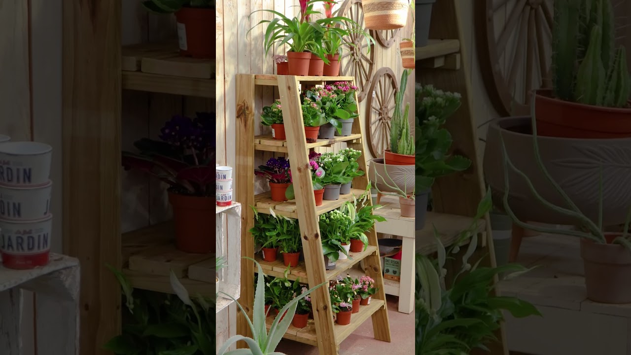 bases de madera para plantas