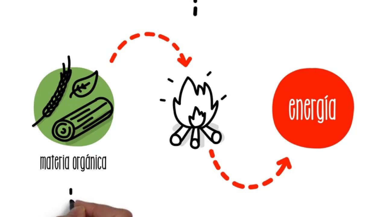 cómo aprovechamos la energía biomasa