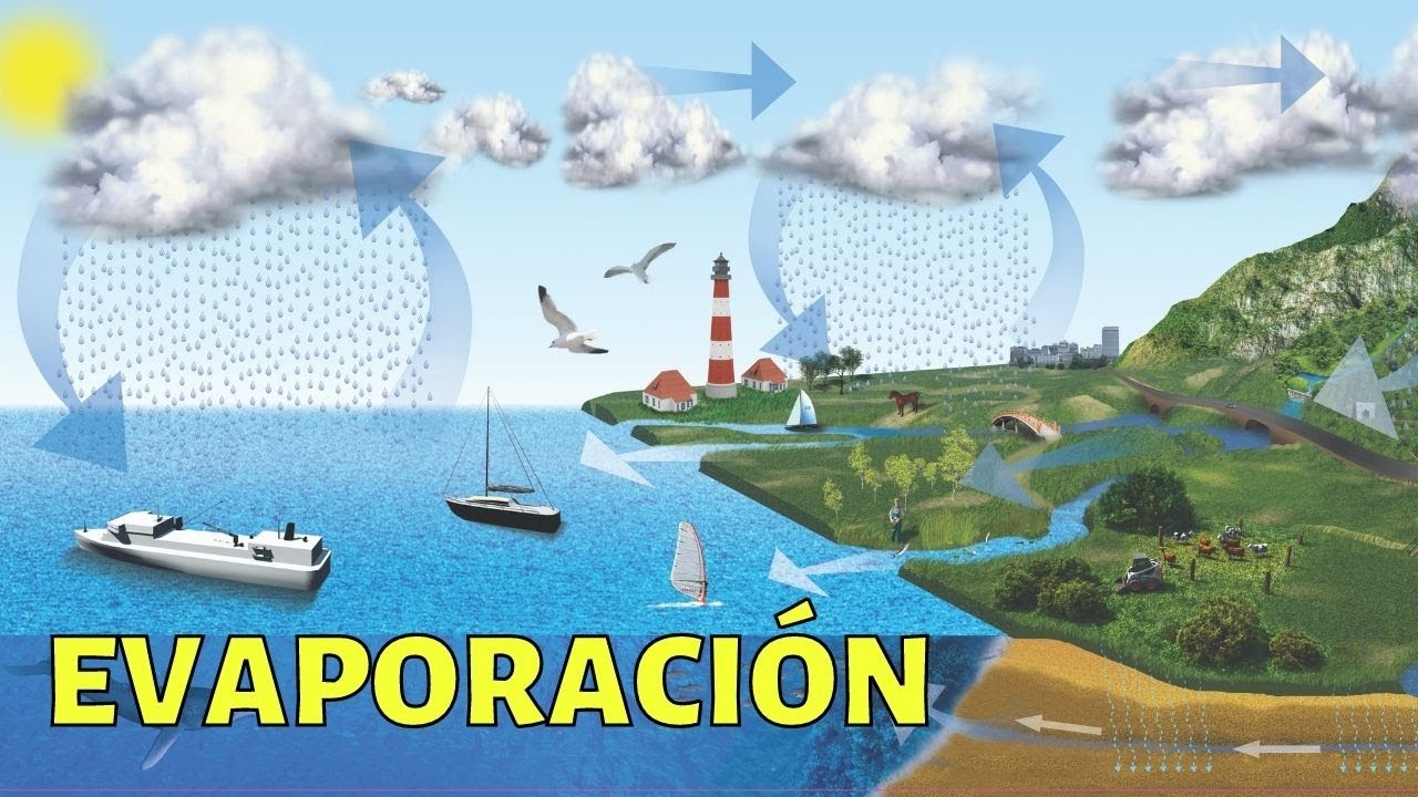 como es que la salinidad afecta la evaporacion
