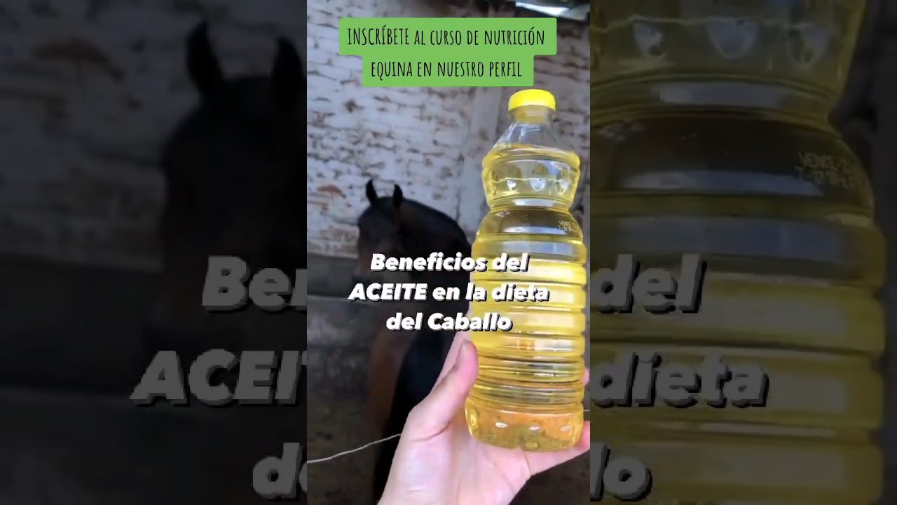 como tener las bolas llenas de leche dieta del caballo