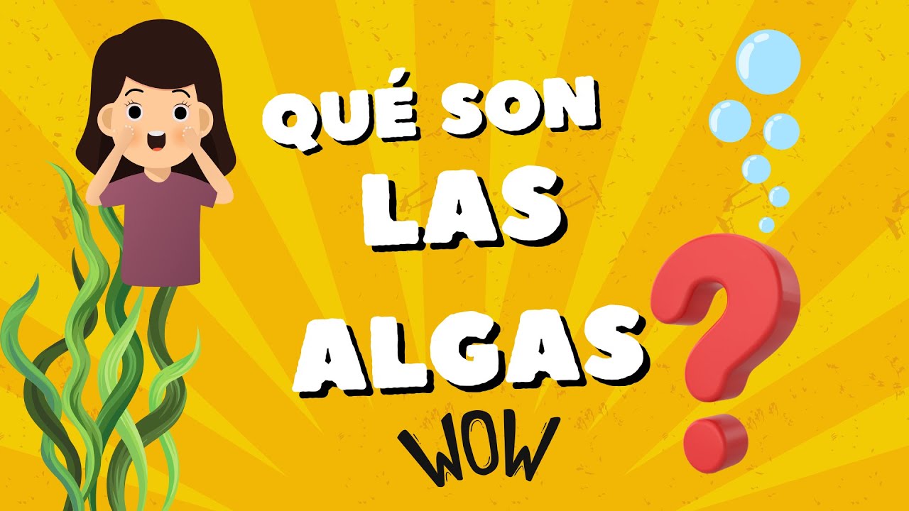 de que se alimentan las algas