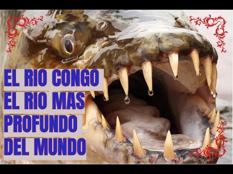 en qué continente se encuentra el río congo