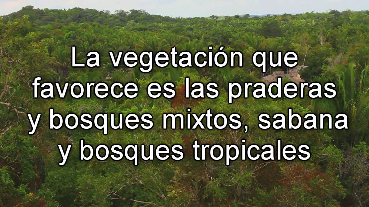 factores que influyen en la distribucion de la poblacion
