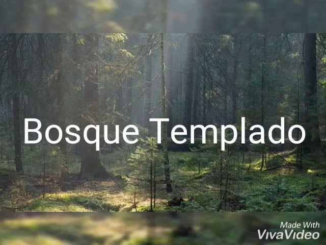 flora y fauna del bosque templado