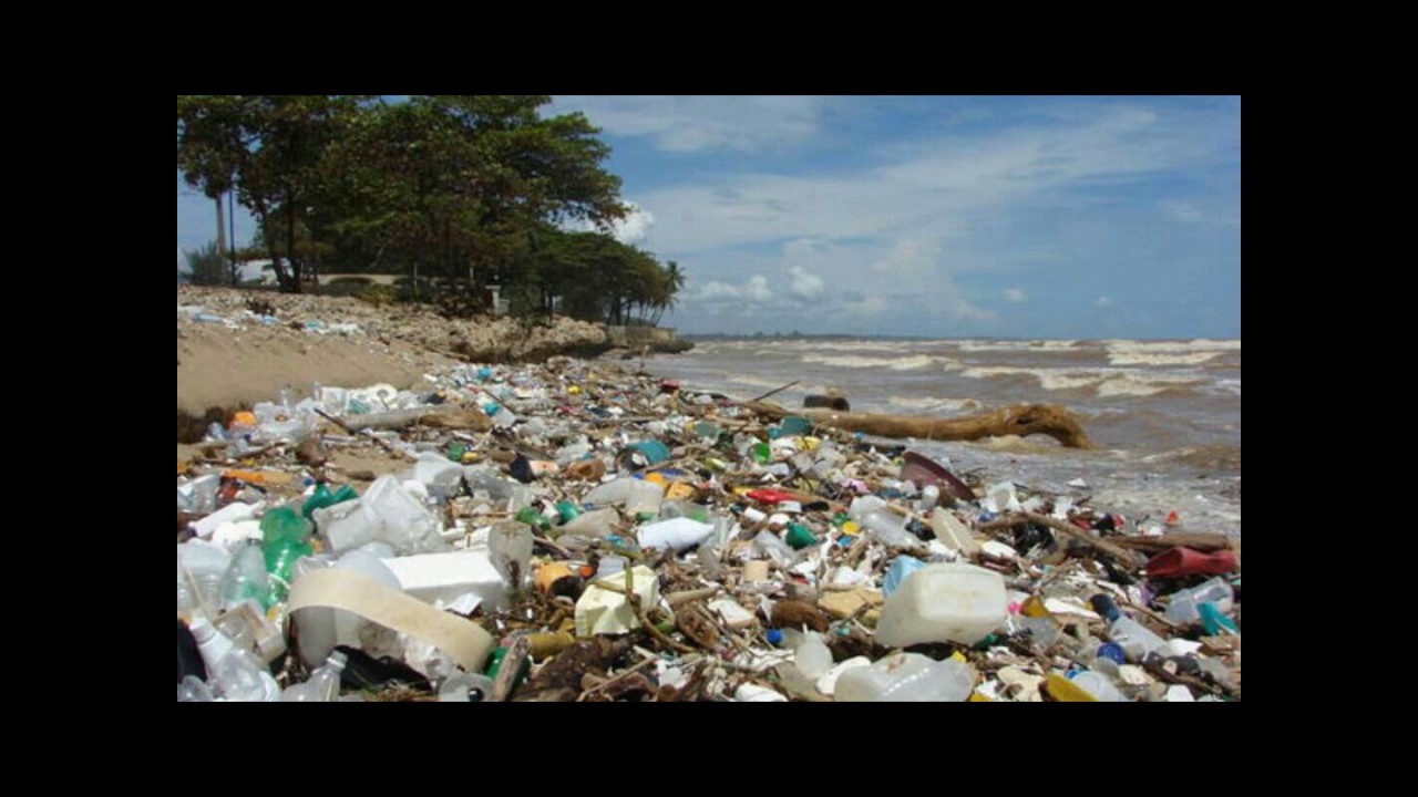 importancia de no tirar basura