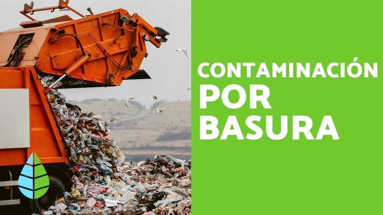importancia de tirar la basura en su lugar