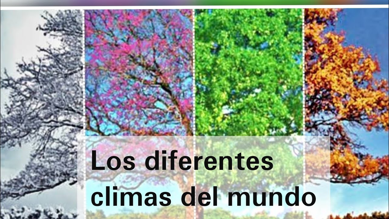 los diferentes climas del mundo