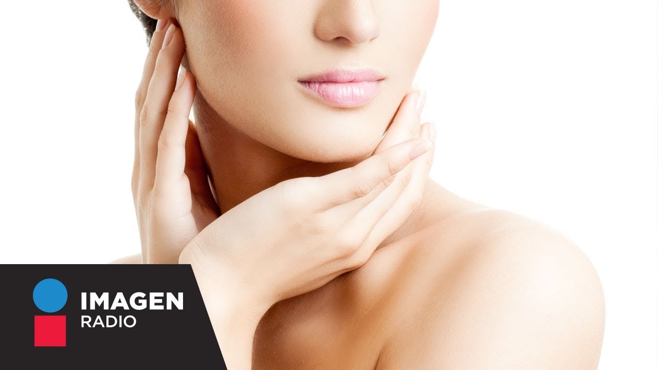 organo mas grande cuerpo humano