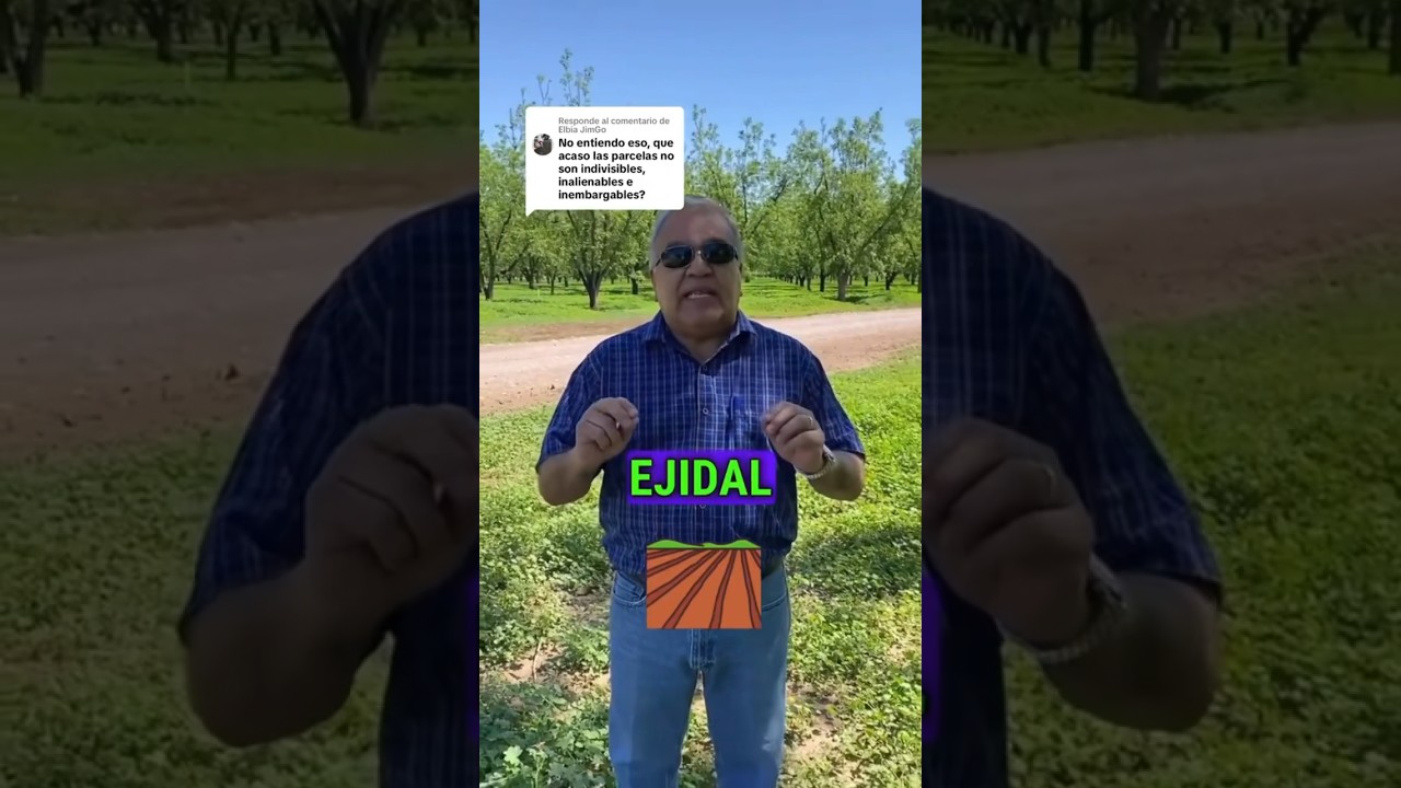 propiedad de lo que no puede dividirse