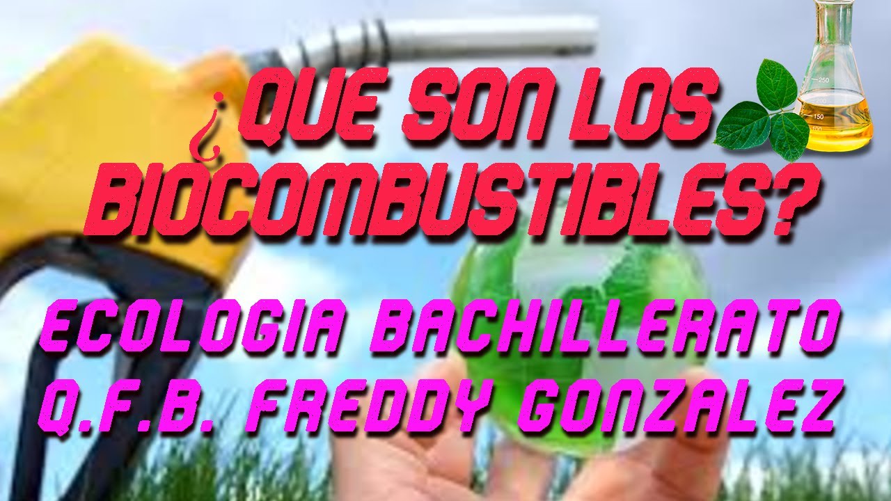 que es la bioenergía y como se obtiene
