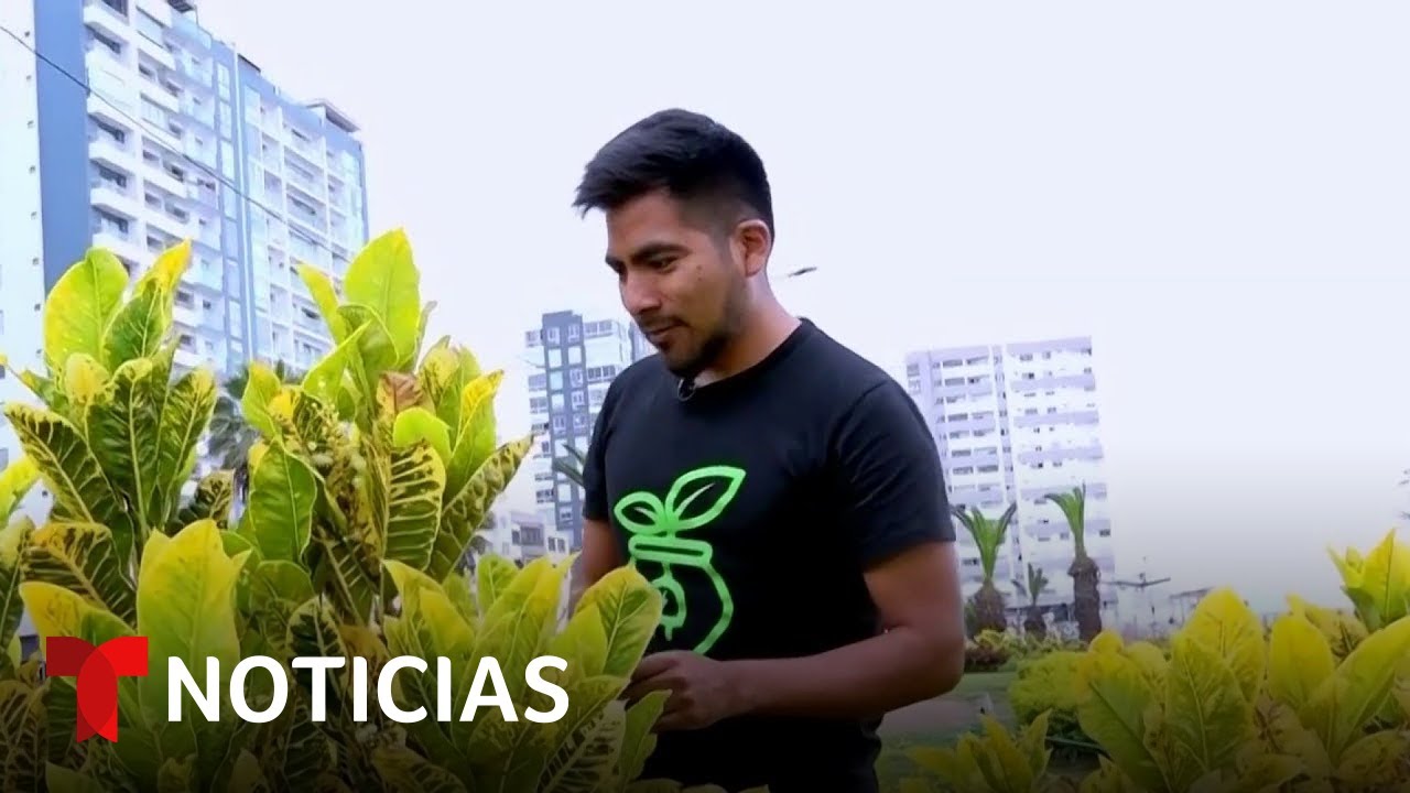qué plantas generadoras de electricidad consideras más contaminantes