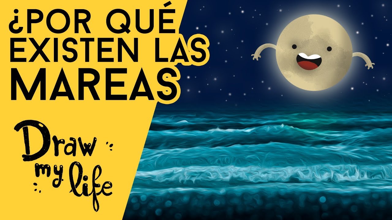 terreno que cubren de agua las grandes mareas