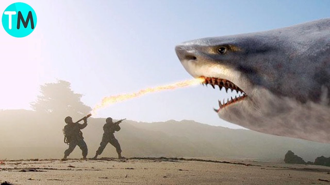 tiburones mas grandes de la historia