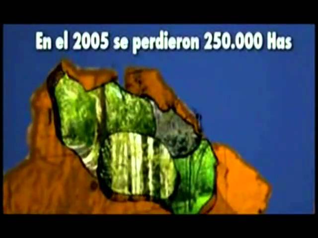 ventajas y desventajas de la bioenergia