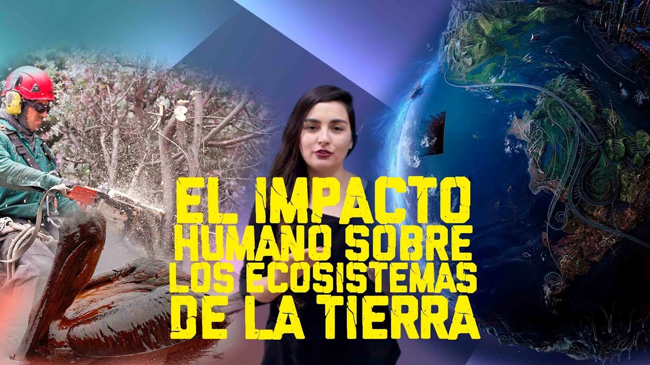 5 factores que afectan el ecosistema
