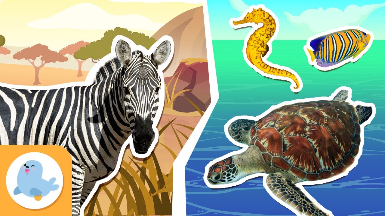 animales acuaticos y terrestres para niños