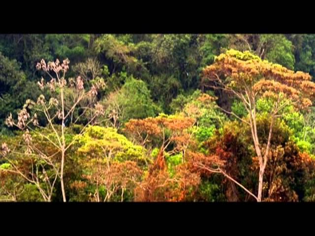 areas naturales protegidas en chiapas