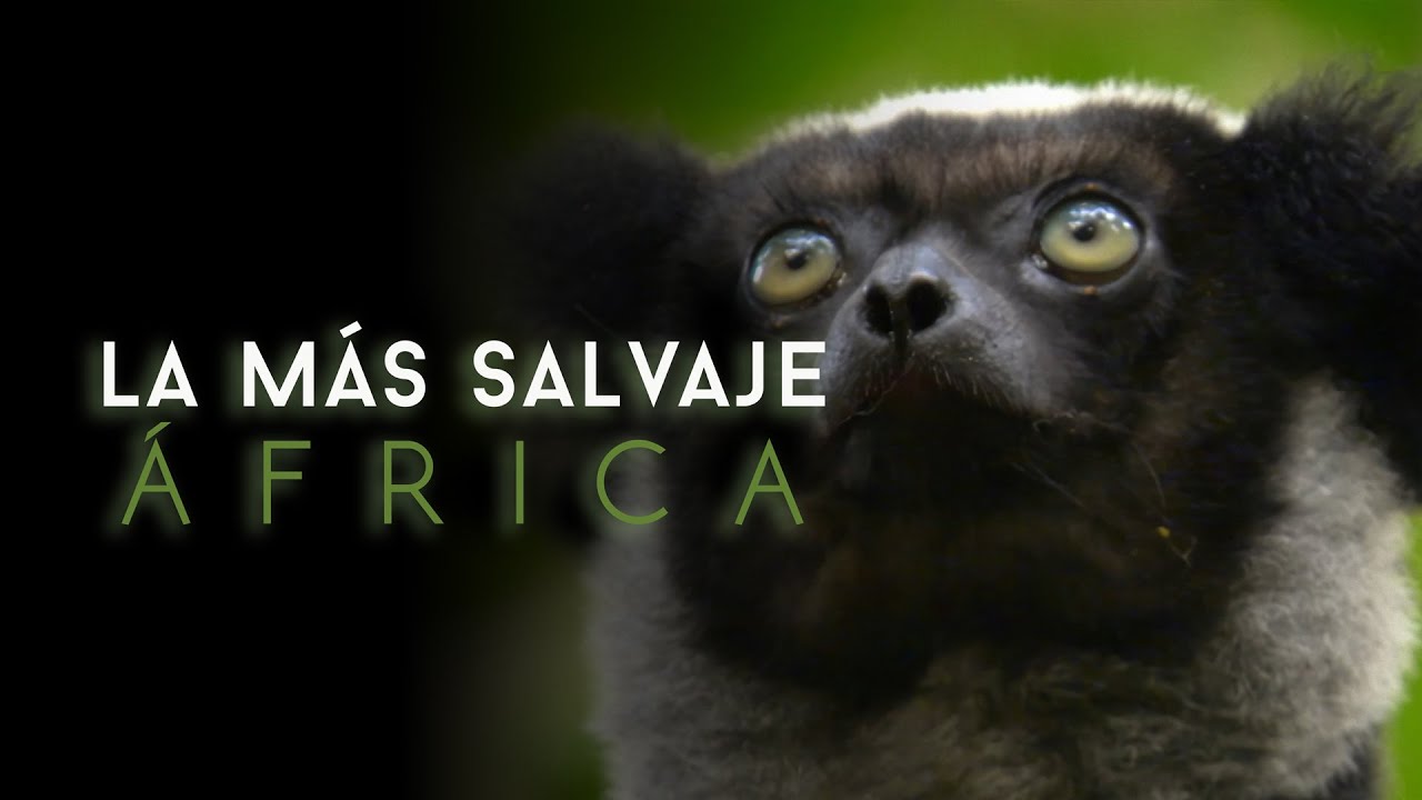 baña las costas de áfrica y australia entre otras