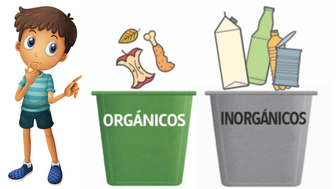 basura organica e inorganica para niños preescolar