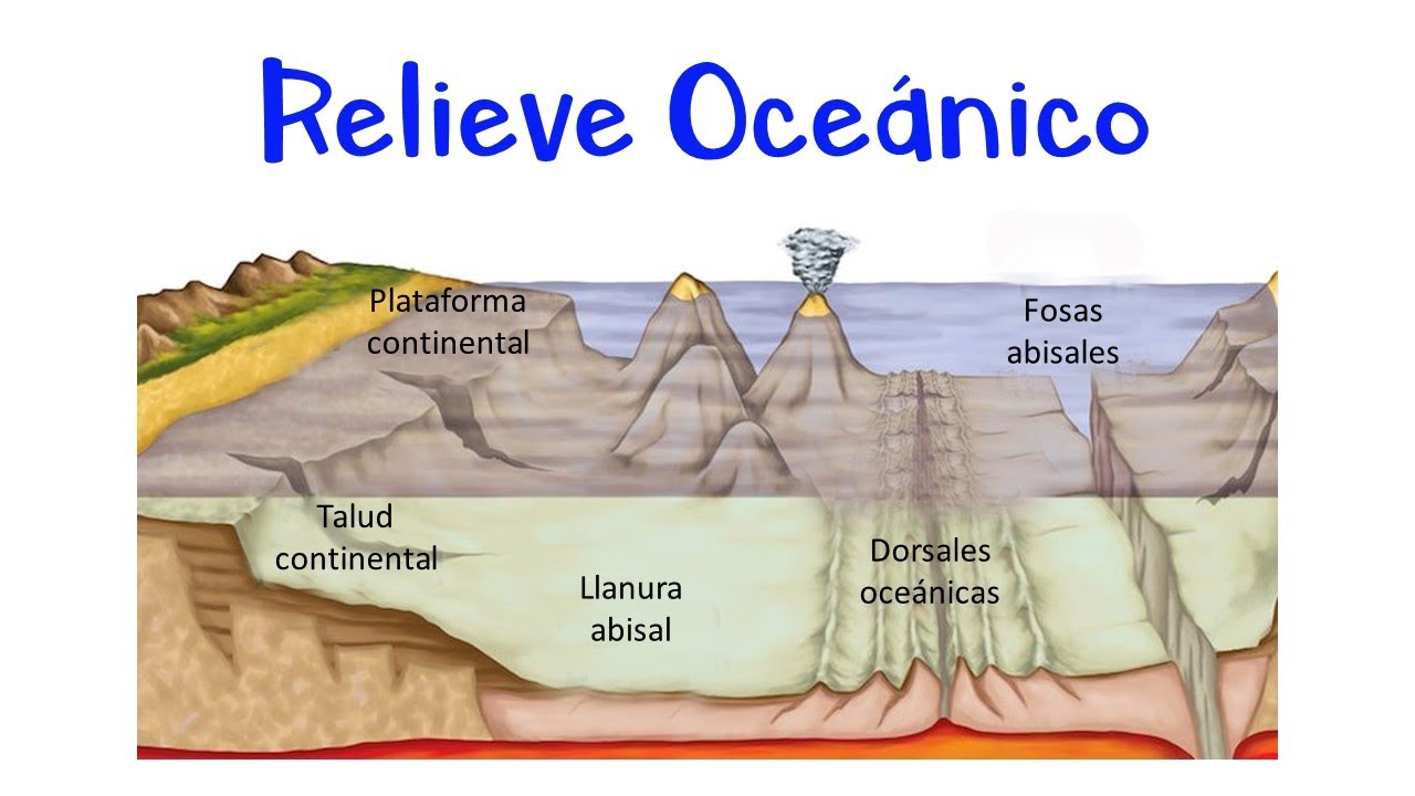 cual es el relieve oceanico