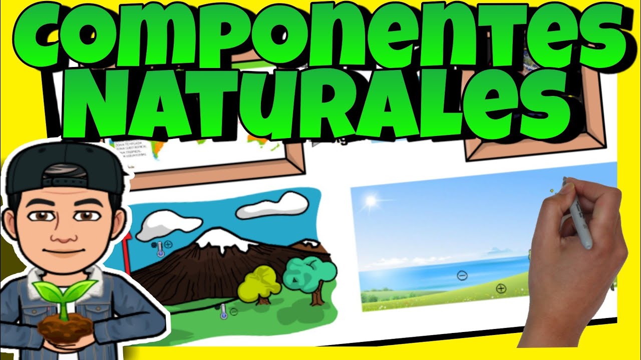 cuales son los componentes de la tierra