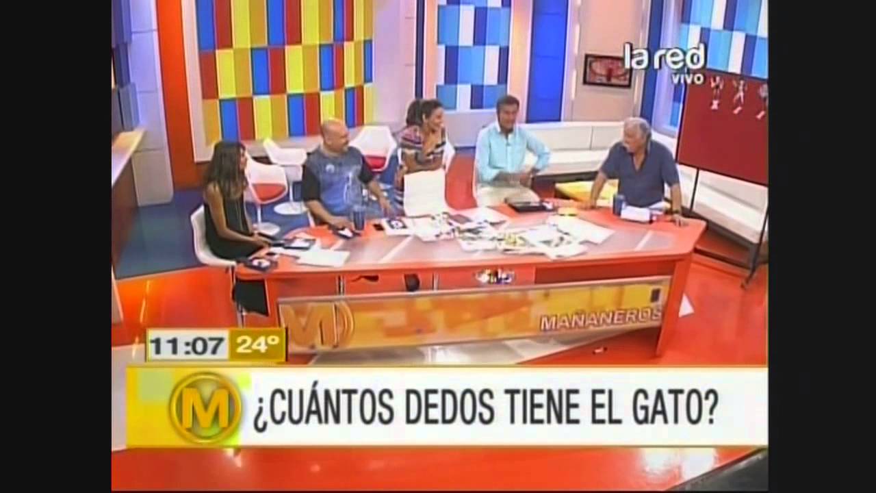 cuantos dedos tiene un gato