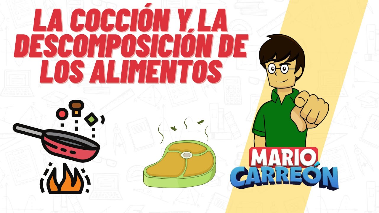 descomposicion de los alimentos animados