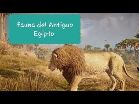 flora y fauna de egipto
