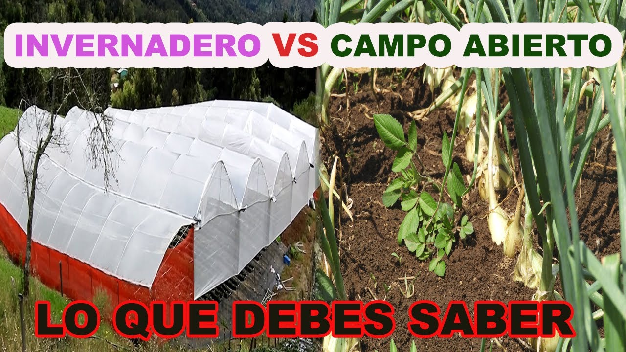 por qué la tierra se compara con un invernadero