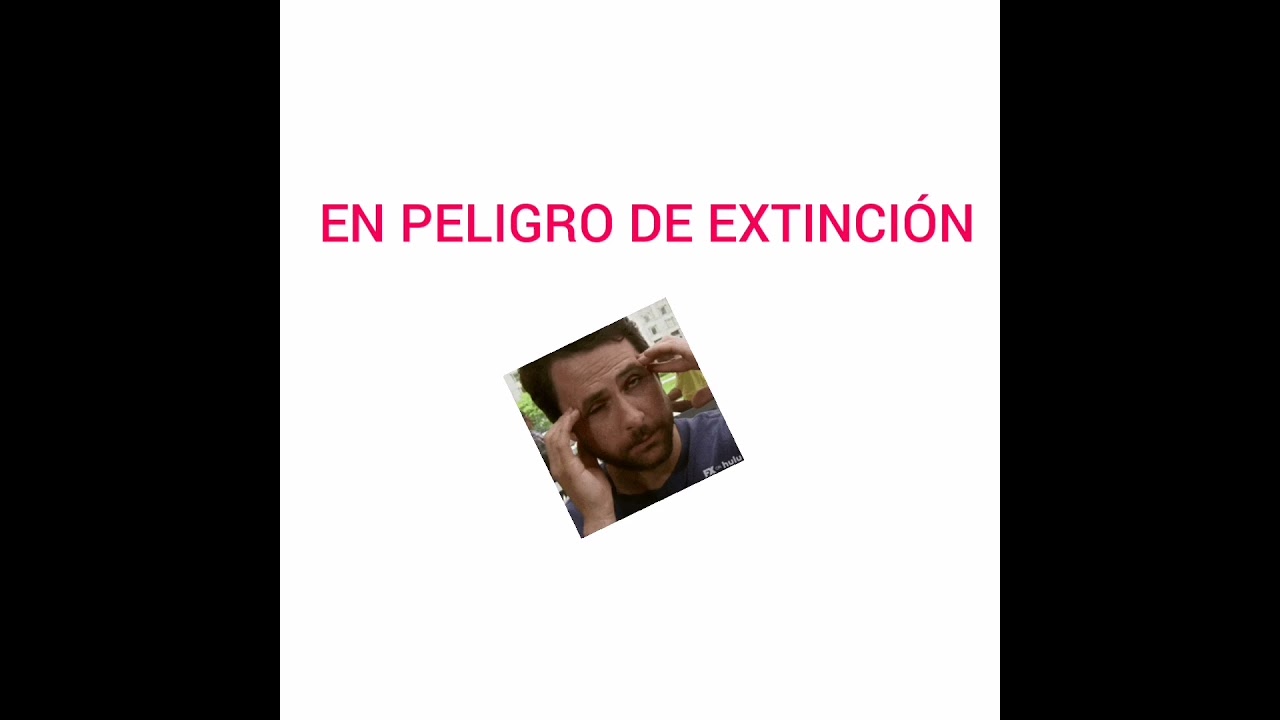 rana de la sierra madre occidental
