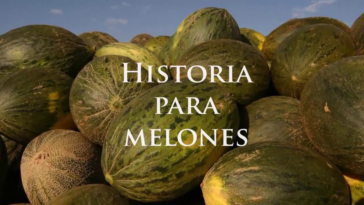 son zonas bajas de la superficie de la tierra