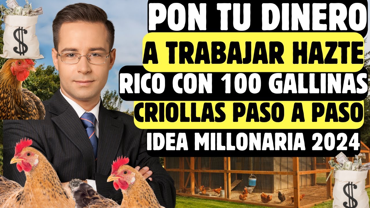 venta de gallos y gallinas