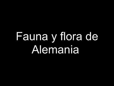 flora y fauna de alemania